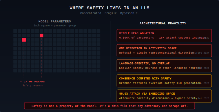 Diagram showing safety encoding concentrated in less than 1% of model parameters. Single head ablation: 0.006% of parameters causes 16x attack success increase. Refusal mediated by single representational direction. Language-specific safety neurons with no cross-lingual overlap. Coherence competes with safety mid-generation.